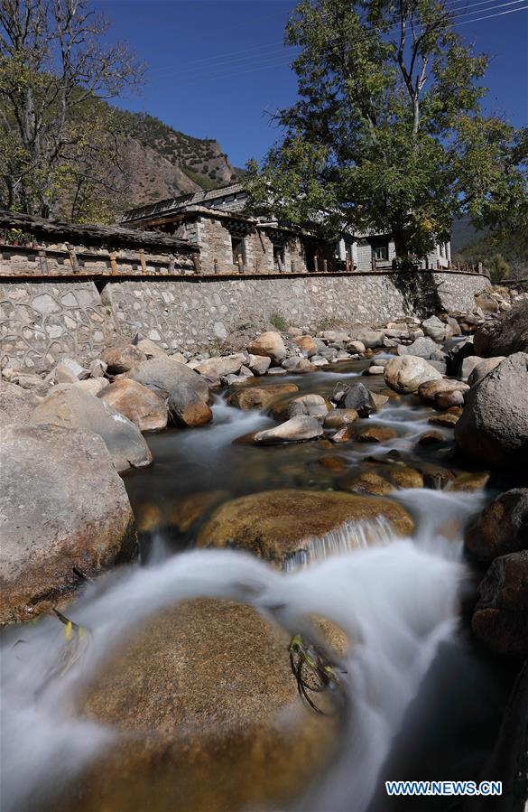 关于阿斯特丽德