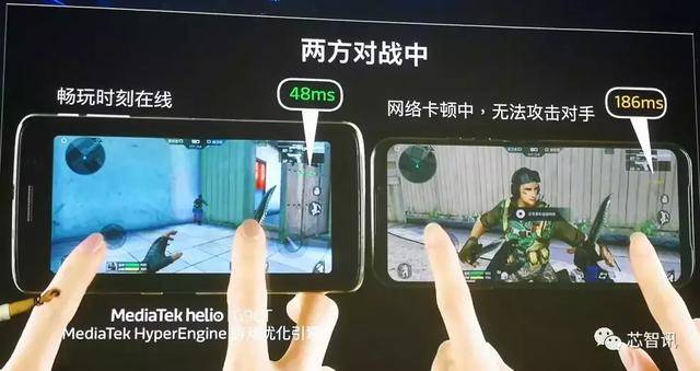 克莱拉与熊的秘密