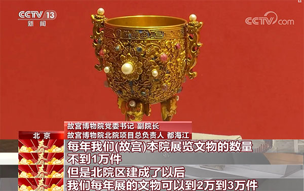 克莱拉与熊的秘密