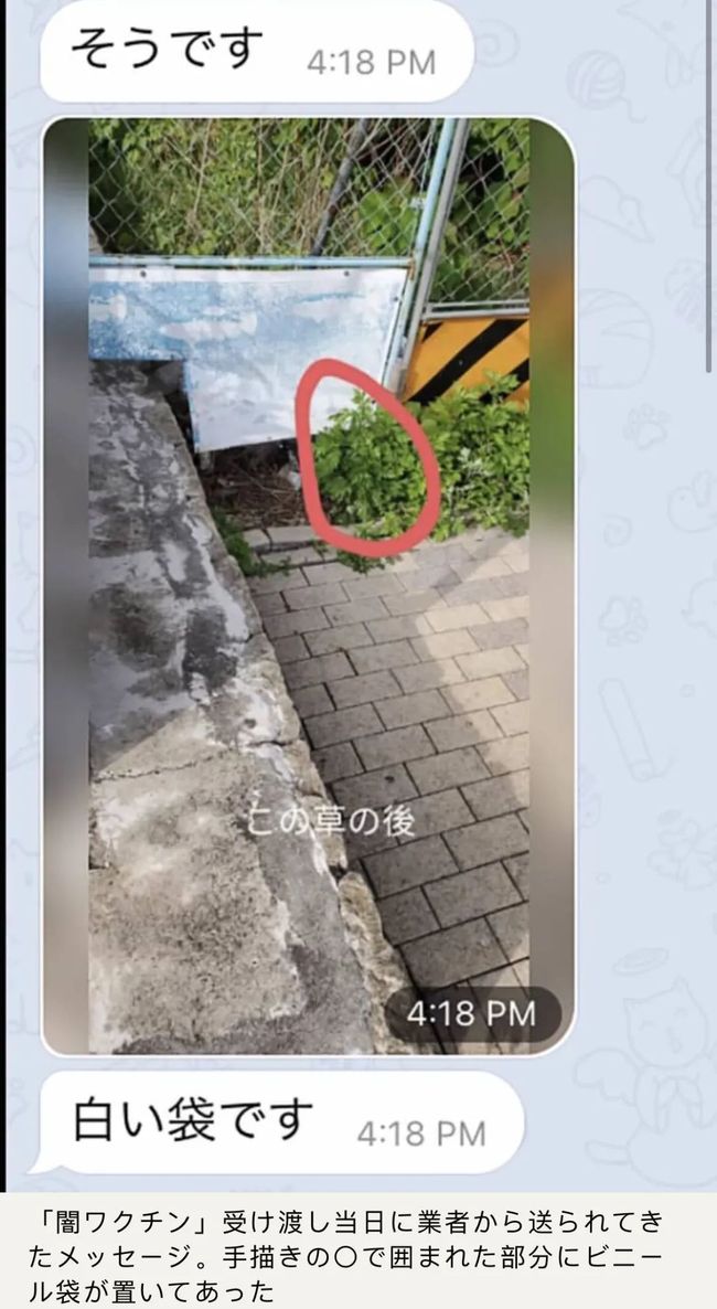 克莱尔·达林的最后疯狂