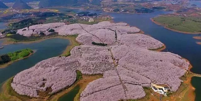 咒术回战 怀玉·玉折 总集篇