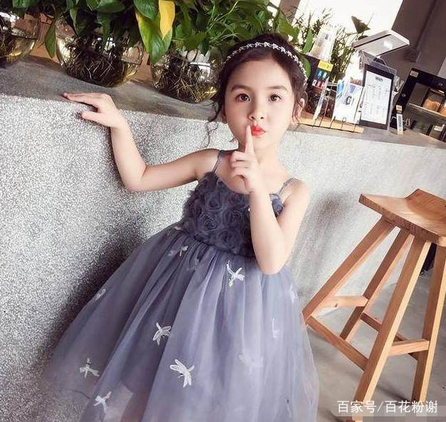 光荣之路上的狗