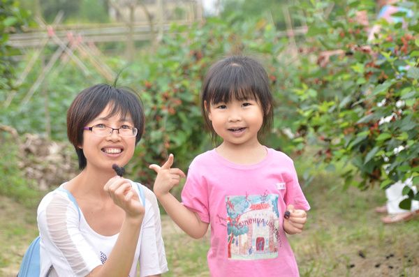 光荣之路上的狗