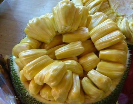 全城戒备（国语版）