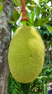 再见我们的十年