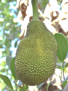 再见我们的十年