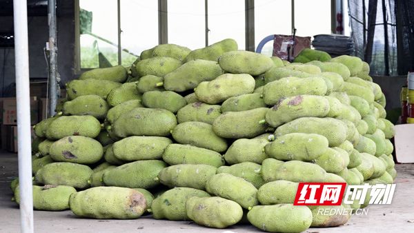 哈利·波特与凤凰社（原声版）